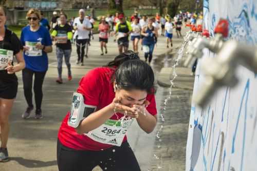 MARATONA DI VIENNA | 42K,21K,10K,Staffetta 2019